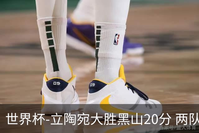 世界杯-立陶宛大胜黑山20分 两队携手晋级16强